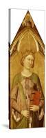 Saint Catherine-Jacopo Del Casentino-Stretched Canvas