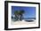 Saint-Clair Beach, Le Lavandou, Var, Provence-Alpes-Cote D'Azur, Provence, France, Europe-Stuart Black-Framed Photographic Print