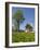 Saint Coloman Near to Fuessen, Allgaeu, Bavaria, Germany-Katja Kreder-Framed Photographic Print