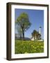 Saint Coloman Near to Fuessen, Allgaeu, Bavaria, Germany-Katja Kreder-Framed Photographic Print