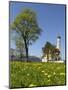 Saint Coloman Near to Fuessen, Allgaeu, Bavaria, Germany-Katja Kreder-Mounted Photographic Print