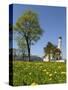 Saint Coloman Near to Fuessen, Allgaeu, Bavaria, Germany-Katja Kreder-Stretched Canvas