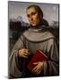 Saint Francis, 1480 Oil on Panel-Il Francia-Mounted Giclee Print