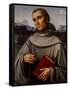 Saint Francis, 1480 Oil on Panel-Il Francia-Framed Stretched Canvas