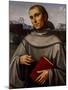 Saint Francis, 1480 Oil on Panel-Il Francia-Mounted Giclee Print