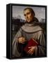 Saint Francis, 1480 Oil on Panel-Il Francia-Framed Stretched Canvas