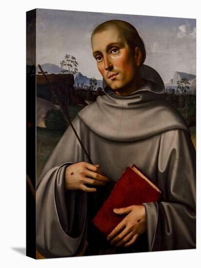 Saint Francis, 1480 Oil on Panel-Il Francia-Stretched Canvas