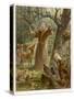 Saint Francis of Assisi, Preaching to the Animals-Hans Stubenrauch-Stretched Canvas