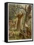 Saint Francis of Assisi, Preaching to the Animals-Hans Stubenrauch-Framed Stretched Canvas