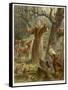 Saint Francis of Assisi, Preaching to the Animals-Hans Stubenrauch-Framed Stretched Canvas