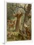 Saint Francis of Assisi, Preaching to the Animals-Hans Stubenrauch-Framed Photographic Print