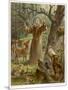 Saint Francis of Assisi, Preaching to the Animals-Hans Stubenrauch-Mounted Photographic Print