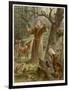 Saint Francis of Assisi, Preaching to the Animals-Hans Stubenrauch-Framed Photographic Print