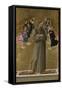 Saint Francis of Assisi with Angels, Ca 1475-Sandro Botticelli-Framed Stretched Canvas