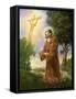 Saint Francis of Assisi-Hal Frenck-Framed Stretched Canvas