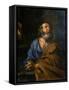 Saint Francis Xavier-Cesare Fracanzano-Framed Stretched Canvas