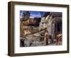 Saint Francois Au Desert  (Saint Francis in the Desert) - Peinture De Giovanni Bellini Dit Il Giam-Giovanni Bellini-Framed Giclee Print