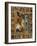 Saint George with Scenes from His Life-null-Framed Giclee Print