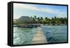 Saint Georges Caye Resort, Belize, Central America-Stuart Westmorland-Framed Stretched Canvas