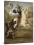 Saint Georges luttant avec le dragon-Raffaello Sanzio-Stretched Canvas