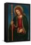 Saint James the Elder, C1500-Ambrogio Bergognone-Framed Stretched Canvas