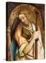 Saint James the Greater-Carlo Crivelli-Stretched Canvas