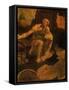 Saint Jerome, 1481-Leonardo da Vinci-Framed Stretched Canvas