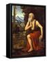 Saint Jerome, C. 1525-Bernardino Luini-Framed Stretched Canvas