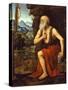 Saint Jerome, C. 1525-Bernardino Luini-Stretched Canvas