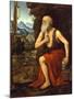 Saint Jerome, C. 1525-Bernardino Luini-Mounted Giclee Print