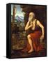 Saint Jerome, C. 1525-Bernardino Luini-Framed Stretched Canvas