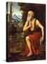 Saint Jerome, C. 1525-Bernardino Luini-Stretched Canvas