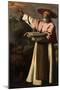 Saint Jerome, C.1640-45-Francisco de Zurbaran-Mounted Giclee Print