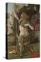 Saint Jerome, Ca 1470-Cosimo Tura-Stretched Canvas