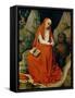 Saint Jerome in the Desert, C.1450-65 (Oil on Oak Panel)-Rogier van der Weyden-Framed Stretched Canvas