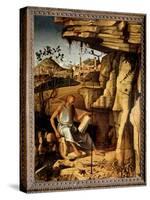 Saint Jerome in the Desert Painting by Giovanni Bellini Dit Il Giambellino (Ca. 1430-1516) 1479 Dim-Giovanni Bellini-Stretched Canvas