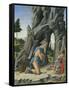 Saint Jerome in the Desert-Marco Zoppo-Framed Stretched Canvas