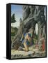 Saint Jerome in the Desert-Marco Zoppo-Framed Stretched Canvas