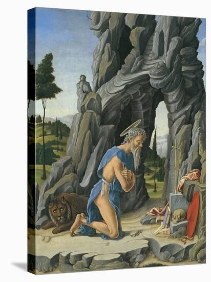 Saint Jerome in the Desert-Marco Zoppo-Stretched Canvas