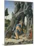 Saint Jerome in the Desert-Marco Zoppo-Mounted Giclee Print