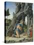 Saint Jerome in the Desert-Marco Zoppo-Stretched Canvas