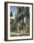 Saint Jerome in the Desert-Marco Zoppo-Framed Giclee Print