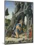 Saint Jerome in the Desert-Marco Zoppo-Mounted Giclee Print