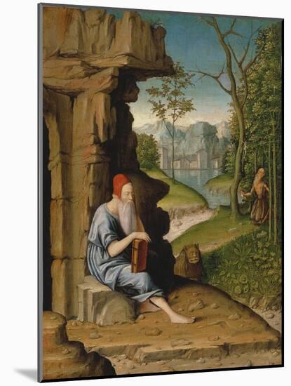 Saint Jerome in the Desert-Bartolomeo Montagna-Mounted Giclee Print