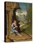 Saint Jerome in the Desert-Bartolomeo Montagna-Stretched Canvas