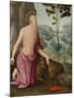 Saint Jerome in the Wilderness, C.1510-15-Pietro Perugino-Mounted Giclee Print