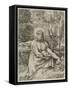 Saint Jerome in the Wilderness, C.1591 (Etching with Engraving on Laid Paper, Iii/Iv)-Annibale Carracci-Framed Stretched Canvas