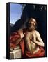 Saint Jerome in the Wilderness-Giovanni Francesco Barbieri-Framed Stretched Canvas