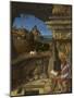 Saint Jerome Reading, 1505-Giovanni Bellini-Mounted Giclee Print