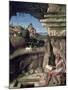 Saint Jerome Reading-Giovanni Bellini-Mounted Giclee Print